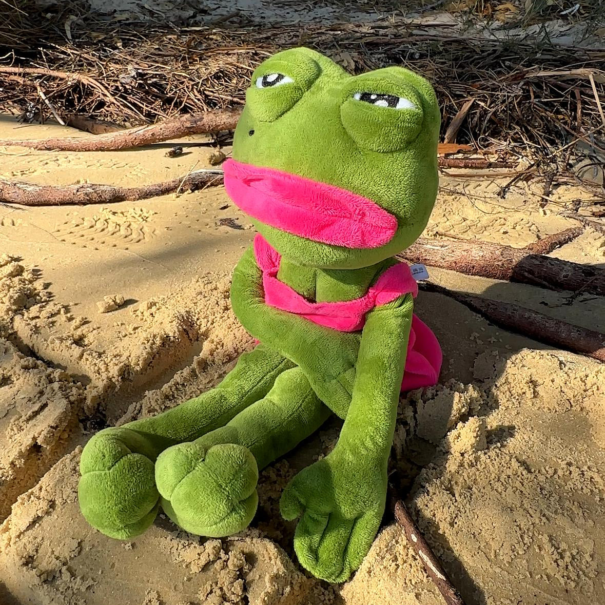 Relatable Pepe Or Pepa